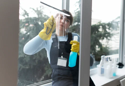 Nettoyage de vitres intérieures et extérieures à Lezay